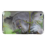 Australian Kangaroo  iTouch Case iPod Case-Mate Case