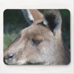 Australian Kangaroo Mouse Mats