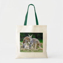 Australian Kangaroos Relaxing in the Sun Tote Bags