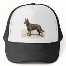 Australian Kelpie 9P21D-247 hats by TraffordPhotos Australian Kelpie 9P21D-247 hats