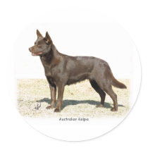 Australian Kelpie 9P21D-247 stickers by TraffordPhotos Australian Kelpie 9P21D-247 stickers