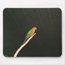 Australian King Parrot mousepads by Furgal Australian King Parrot mousepads
