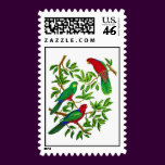 Australian King Parrots