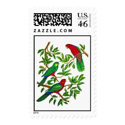 Australian King Parrots Postage by joeyartist