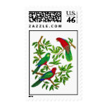 Australian King Parrots