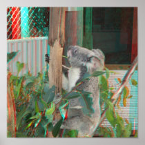 Australian Koala Climbing Gum Tree 3D Anaglyph Poster