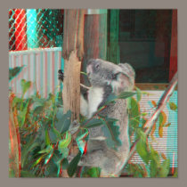 Australian Koala Climbing Gum Tree 3D Anaglyph posters