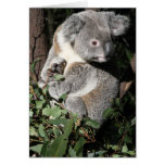 Australian Koala Greeting Card