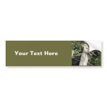 Australian Kookaburra (Kingfisher Family) Bumper Stickers