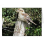 Australian Kookaburra (Kingfisher Family) Greeting Card
