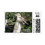 Australian Kookaburra (Kingfisher Family) Stamps