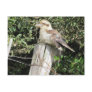 Australian Kookaburra (Kingfisher Family) Postcard