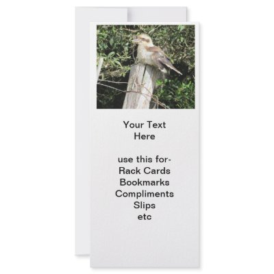 Australian Kookaburra (Kingfisher Family) Full Color Rack Card by realaussie