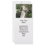 Australian Kookaburra (Kingfisher Family) Full Color Rack Card