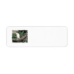 Australian Kookaburra Photograph Custom Return Address Labels