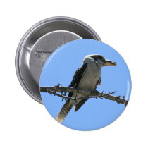 Australian Kookaburra Pin