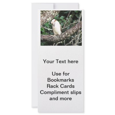 Australian Kookaburra Waiting For Food Rack Cards by realaussie