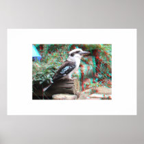 Australian Laughing Kookaburra 3D Anaglyph Poster