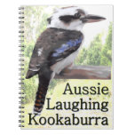 Australian Laughing Kookaburra Bird.