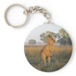 Australian Morning Product Range Keychains