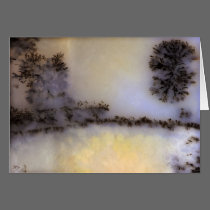 Australian Moss Agate cards