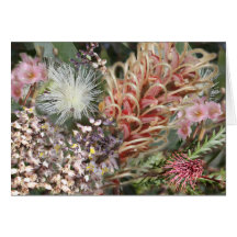 Australian Native Flowers Card