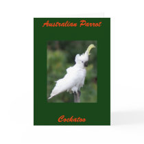 Australian Parrot, Cockatoo cards by brianlart Australian Parrot, Cockatoo cards