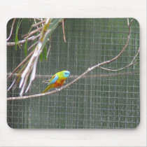 Australian Parrot mousepads by Furgal Australian Parrot mousepads