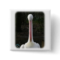 Australian Pelican 9Y209D-209 buttons by TraffordPhotos Australian Pelican 9Y209D-209 buttons