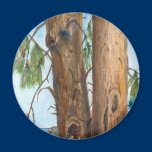 Australian Pine Fridge Magnet magnets