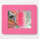 Australian Pink Gum mousepad