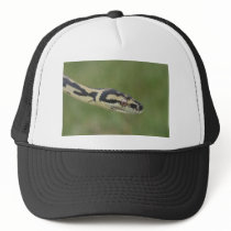 Australian Python Mesh Hat
