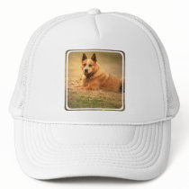 Australian Red Cattle Dog Baseball Hat
