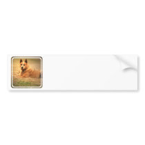 Australian Red Cattle Dog Bumper Sticker