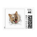 Australian Red Merle Shepherd Bust... - Customized stamp