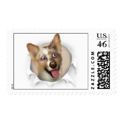 Australian Red Merle Shepherd Bust... - Customized Postage Stamp by cartoondogs