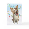 Australian Red Merle Shepherd Christmas card