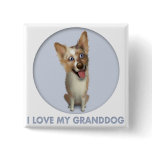 Australian Red Merle Shepherd Granddog Buttons