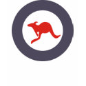 Australian Roundel shirt