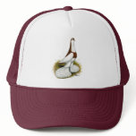 Australian Saddleback Tumbler Mesh Hat