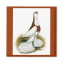 Australian Saddleback Tumbler Fridge Magnet