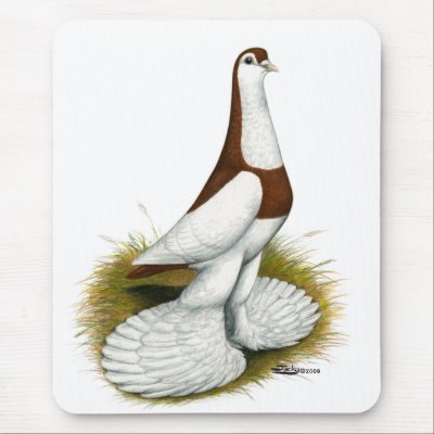 Australian Saddleback Tumbler Mouse Pads by diane_jacky