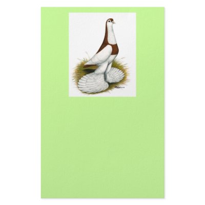 Australian Saddleback Tumbler Stationery Design by diane_jacky
