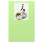 Australian Saddleback Tumbler Stationery Design