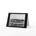 Australian Sheep Station 1902 cards by lc_vintagephotos Australian Sheep Station 1902 cards