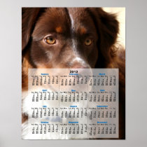 Australian Shepherd 2012 calendar poster