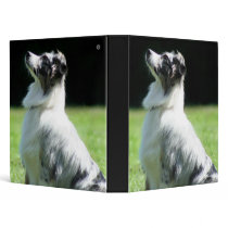 Australian Shepherd binder by ritmoboxer Australian Shepherd binder