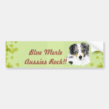 Australian Shepherd - Blue Merle Aussies Rock!! Bumper Stickers