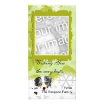Australian Shepherd - Blue Merle Aussies Rock!! Customized Photo Card