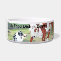 Australian Shepherd ~ Blue Merle Cow Dog pet bowls